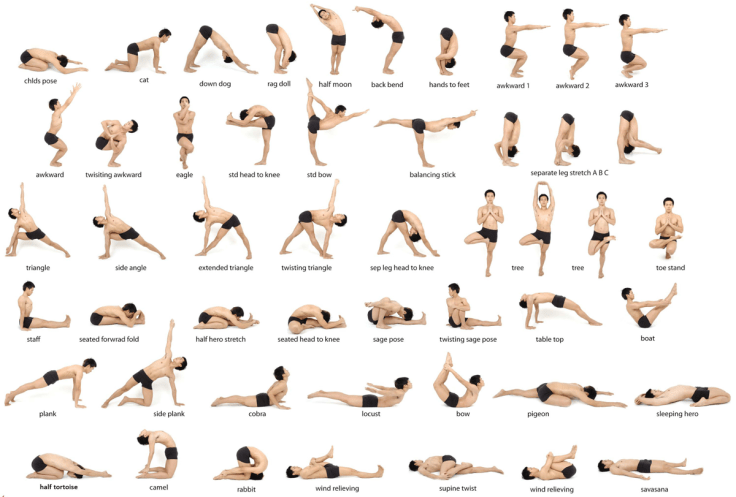 Essential Yoga Tips for Beginners